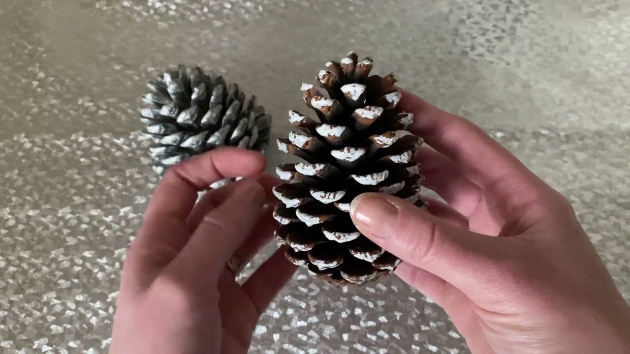 ASMR Pine Cones / No Talking