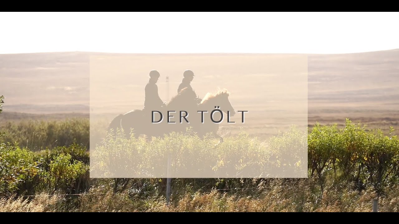 WAS IST EIGENTLICH T&Ouml;LT?