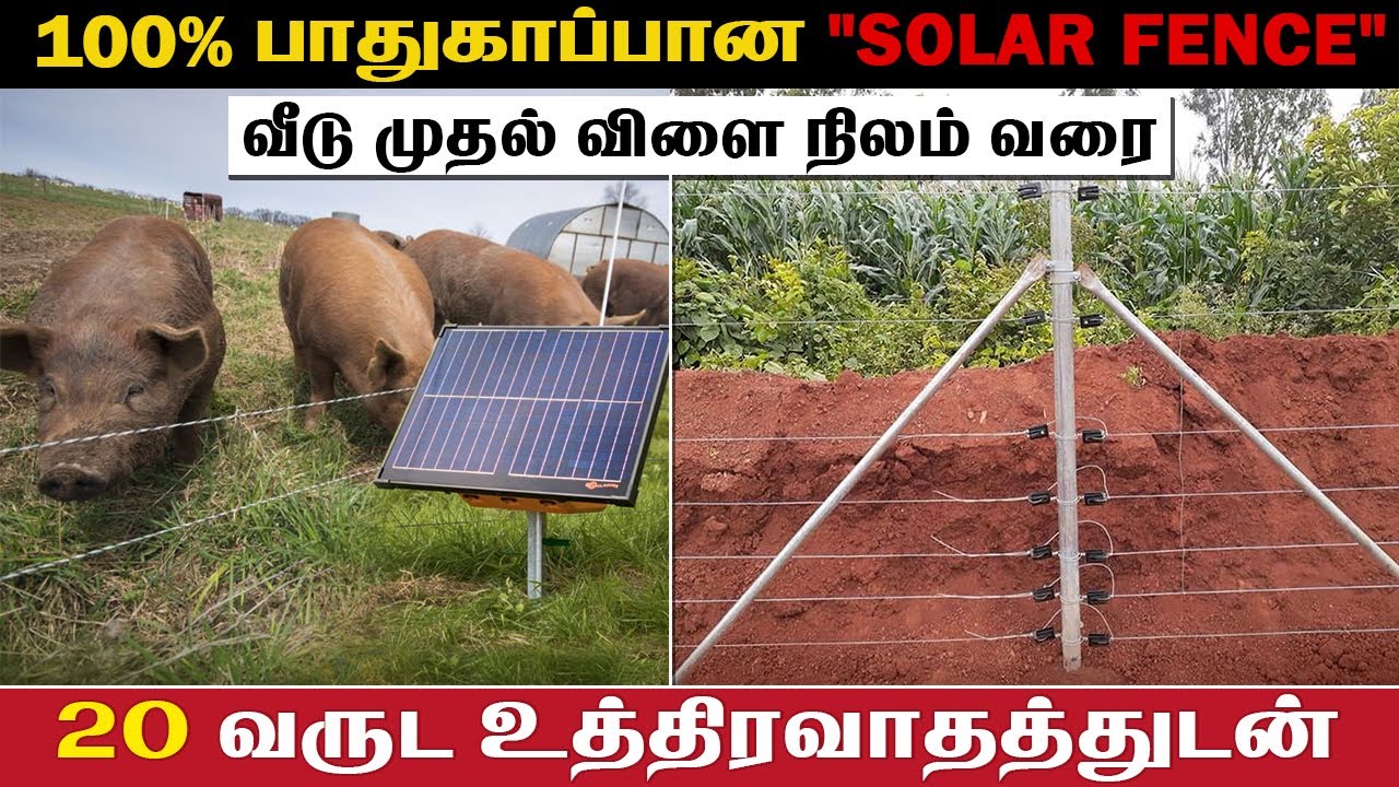 கம்பி வேலி  அமைக்கும் செலவில் சோலார் மின் வேலிகள்  | Jai sunlight systems