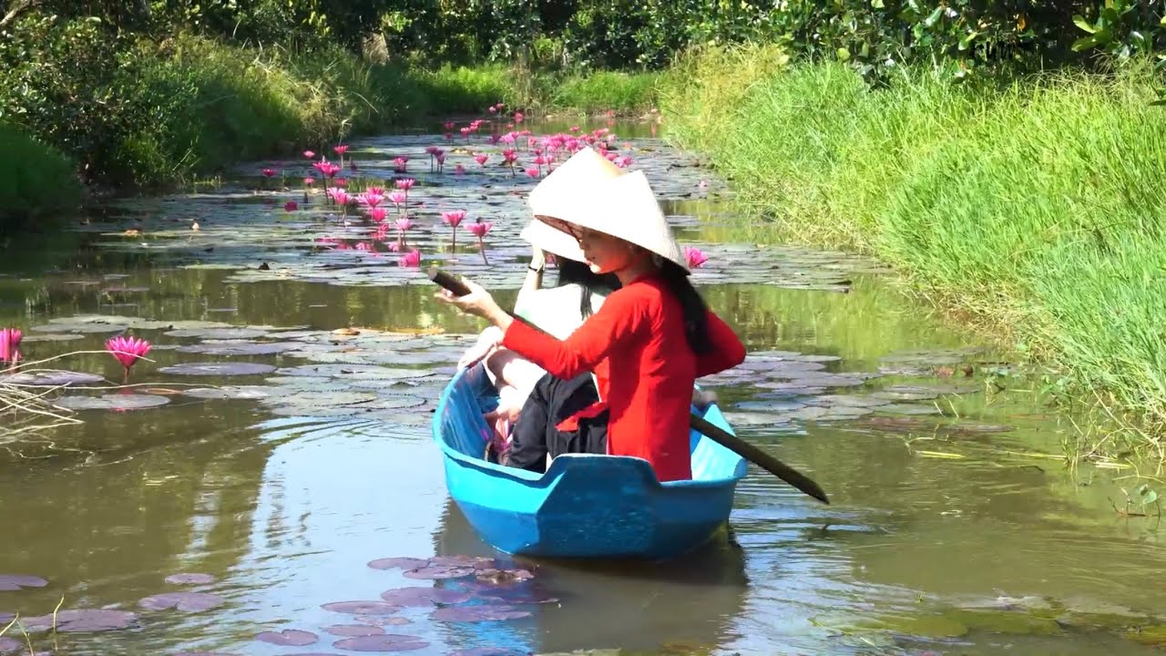 Rực rỡ sắc màu ao bông súng với 3 em gái Miền Tây câu cá giật liên tục