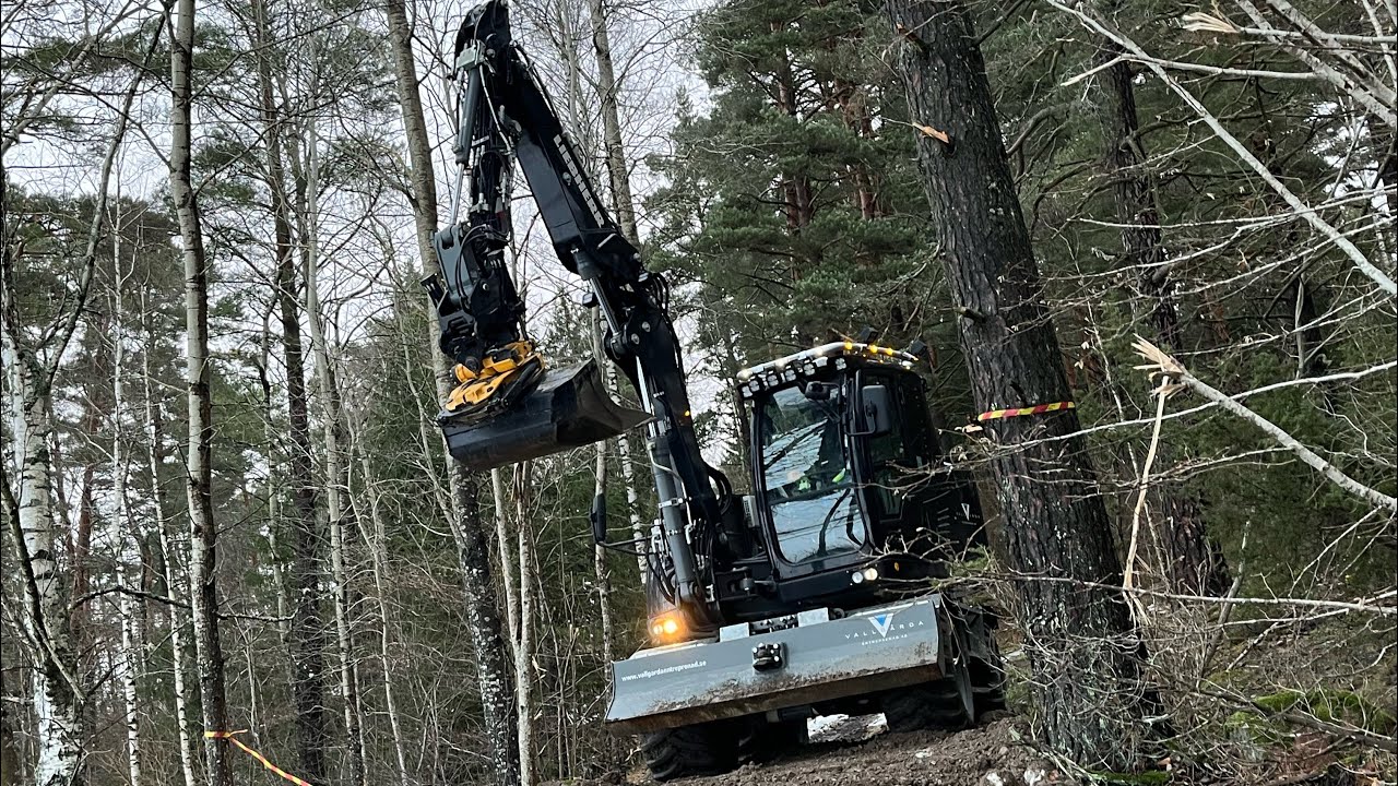 Skogsbilväg av gamla massor