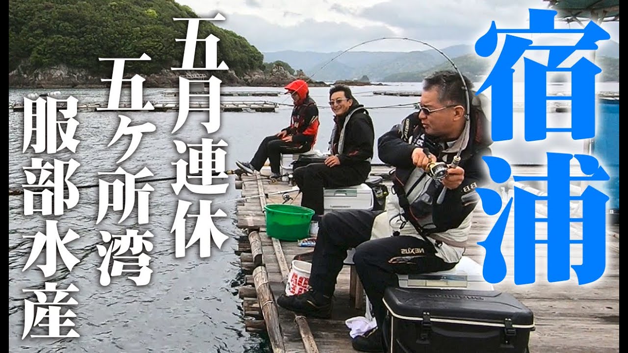 楽しいちぬ釣り #60 立夏の黒鯛かかり釣り 三重 宿浦 开心钓黑鲷 Extreme Bream Fishing
