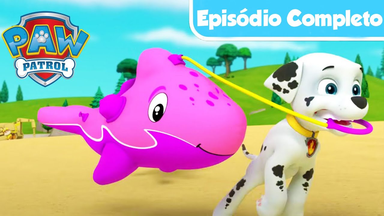 Filhotes salvam um filhote de golfinho -  EPISÓDIO COMPLETO  - Patrulha Canina PAW Patrol