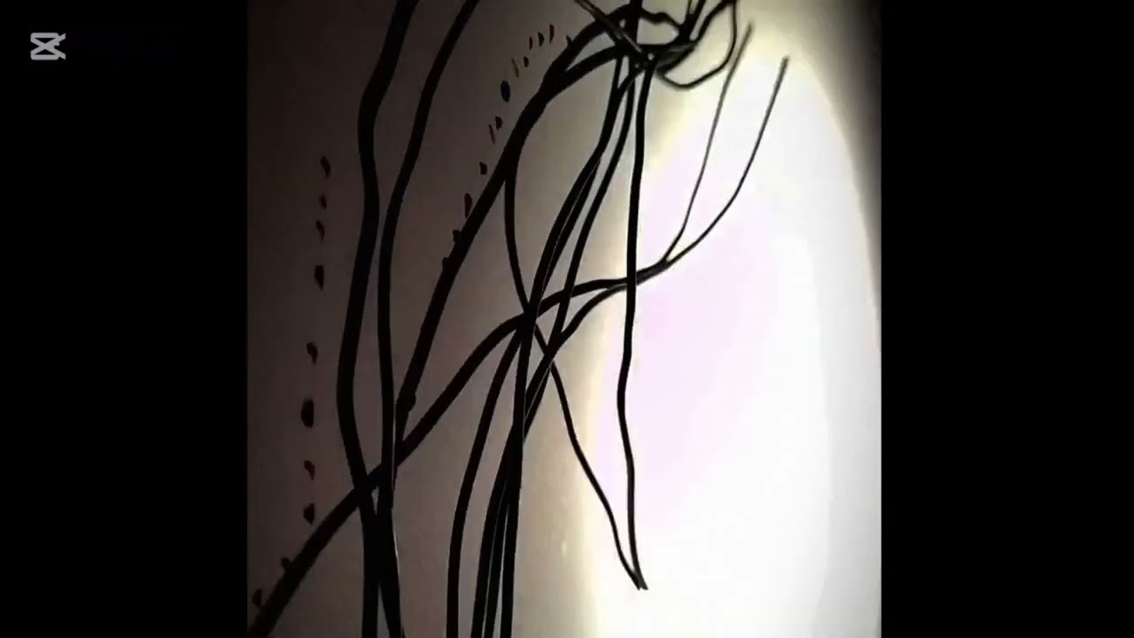 LENGUAJE VISUAL:TP1, SOF&Iacute;A LOBOS.
