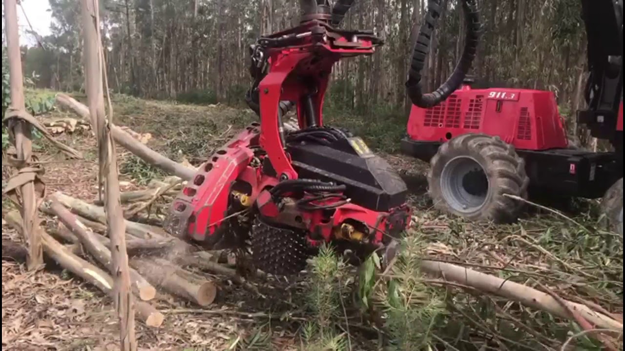 Harvester Valmet/Komatsu 911.3 ano 2008 c/SP561 2015 para venda