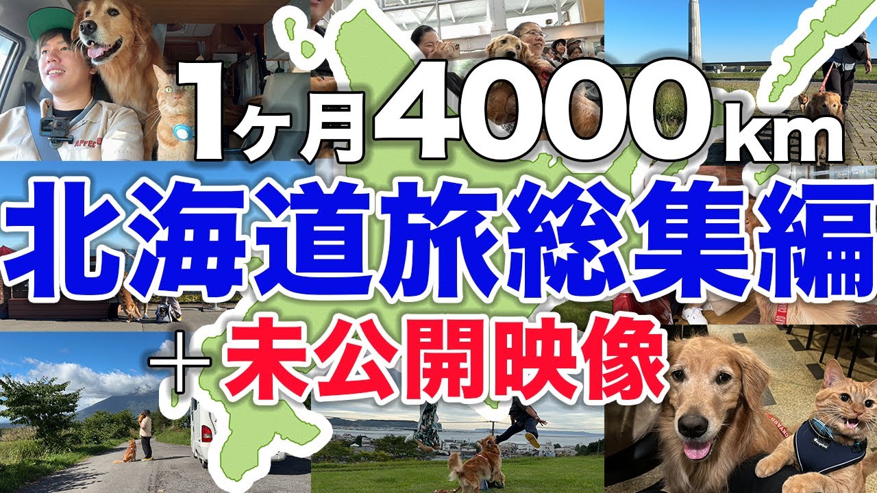 【総集編】ワンニャンと1ヶ月北海道旅したら素敵すぎました
