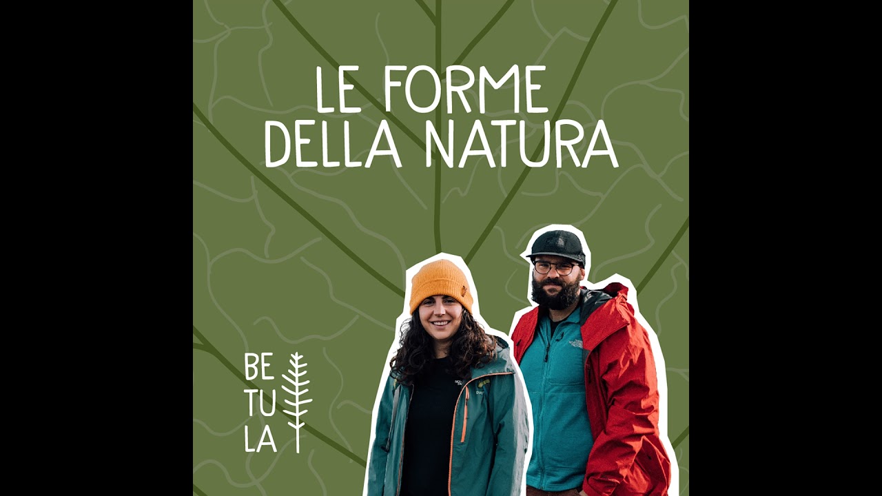 41. Quali sono le piante marine?