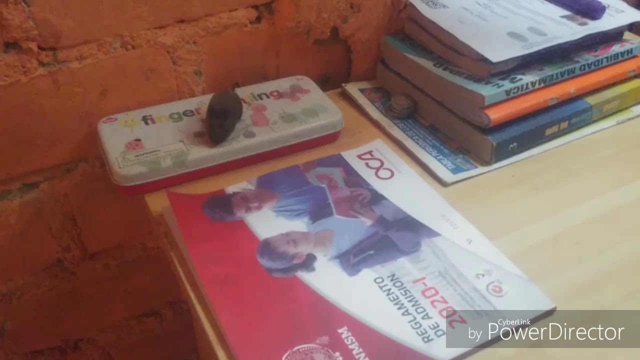 Como ingrese a San Marcos!!!No sabia ni el alfabeto completo...