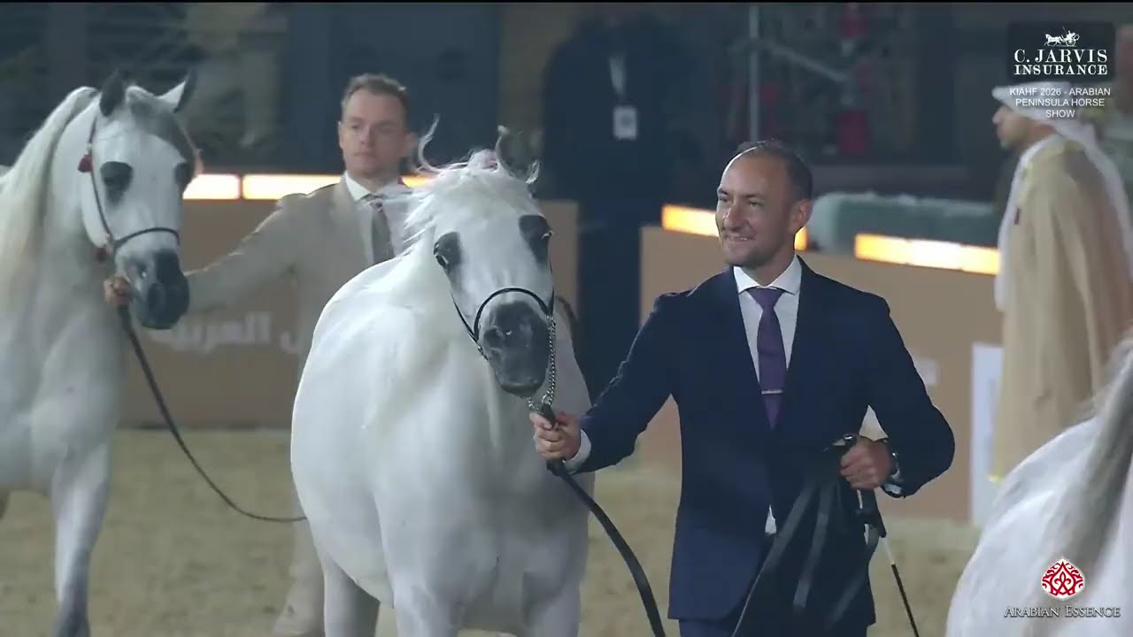 KIAHF 2026   Arabian Peninsula Horse Show   Class   7A