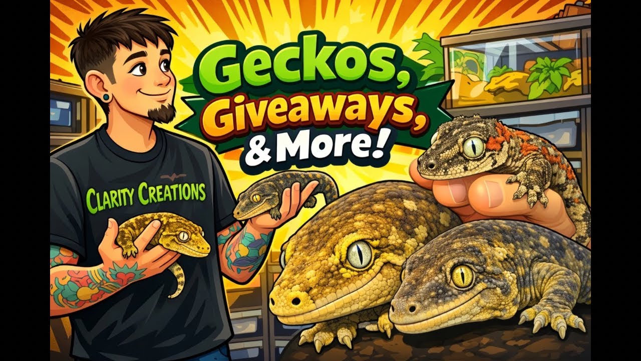 Geckos, Giveaways, & More!!
