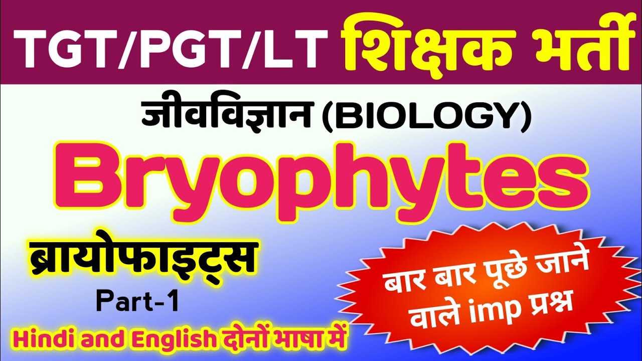 Bryophytes related TGT PGT MCQ | tgt pgt biology classes | tgt pgt biology practice set | tgt pgt