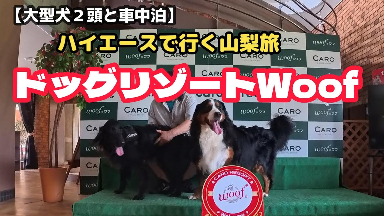 ハイエースで行く山梨旅【大型犬と車中泊】