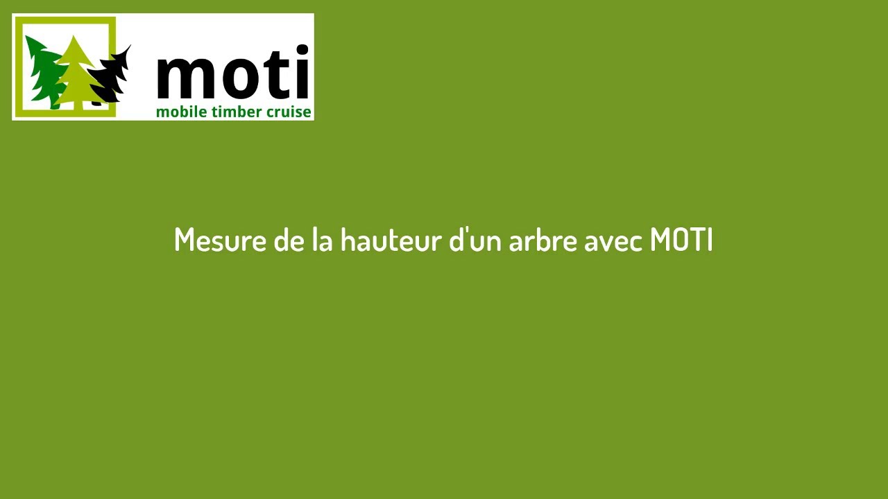 MOTI - Mesure de la hauteur d&rsquo;un arbre (h)