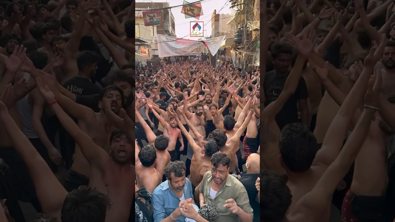 Qari Party & Karwan Shah Chan Cheragh | 9 Zilhaj 2024 | Bibi Pak Daman Lahore