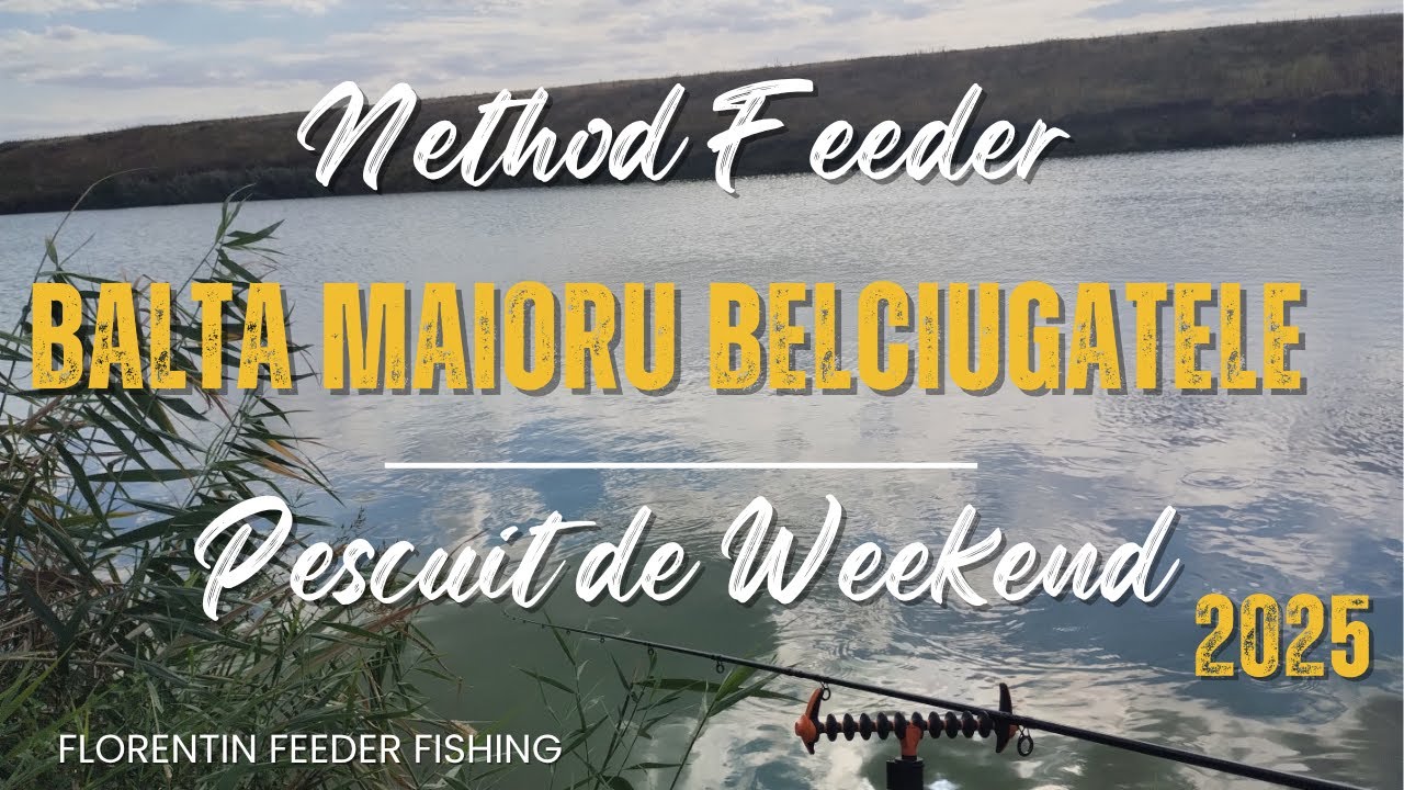 🎣Pescuit de Weekend🐟 Method Feeder - Balta Maioru Belciugatele  #methodfeeder #carpfishing