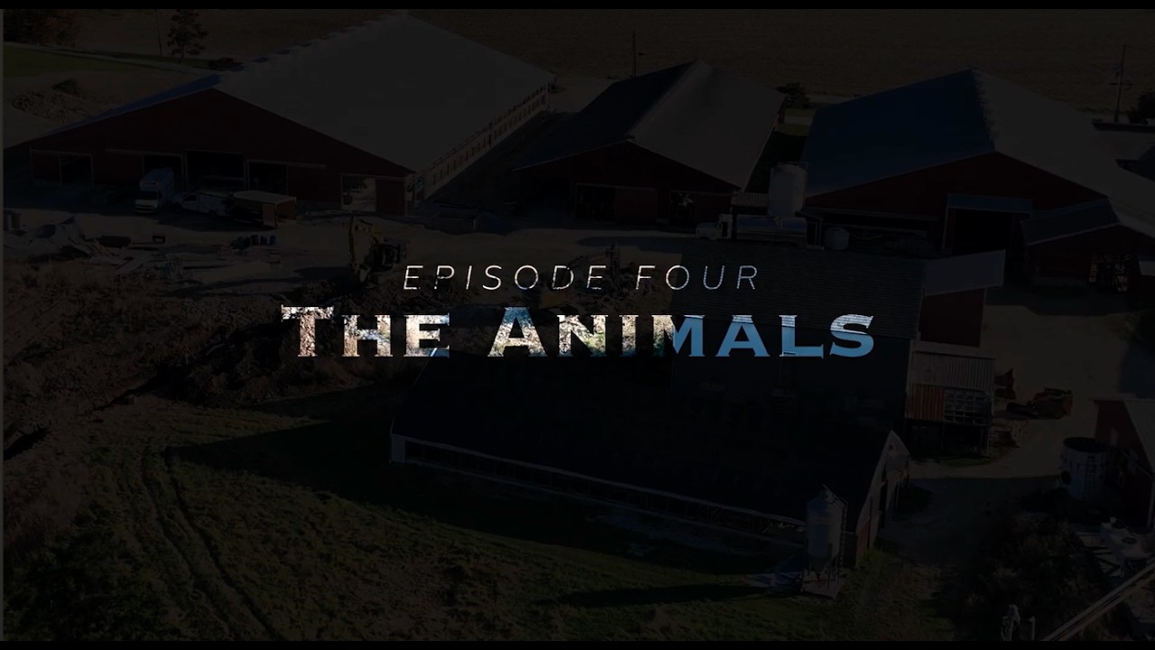 The State of Farming - Episode 4 - The Animals