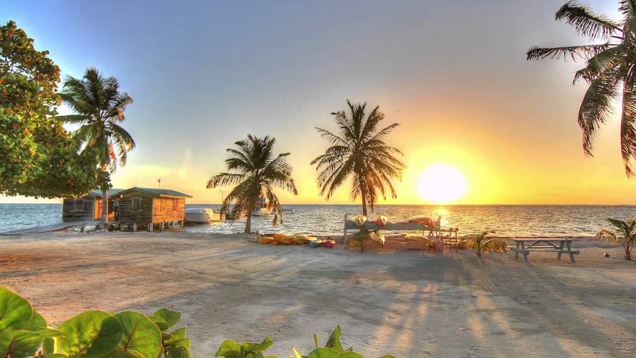 World's Best Diving & Resort: Blackbird Caye