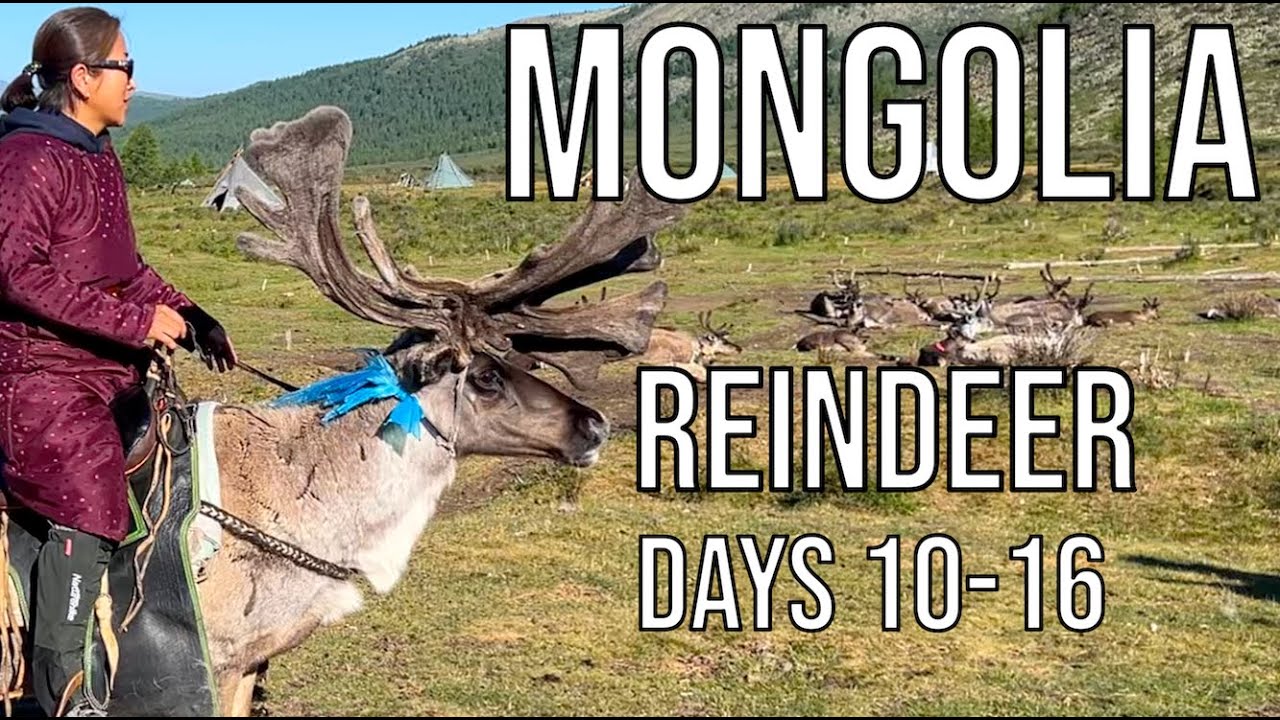 Mongolia - I visited the last Nomadic Reindeer Tribe in the World (Days 10-16)
