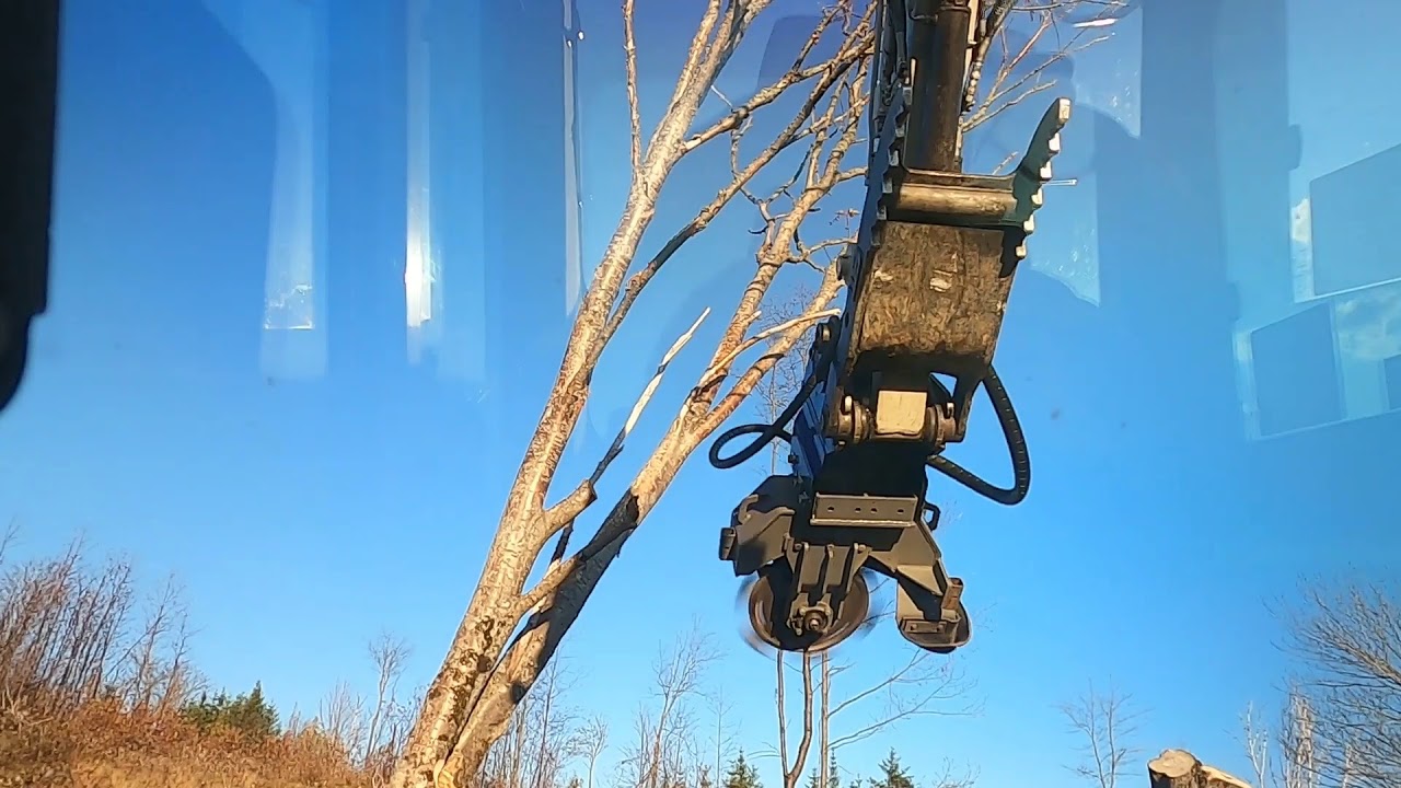 Removing Tree Branches with an Excavator Stump Grinder