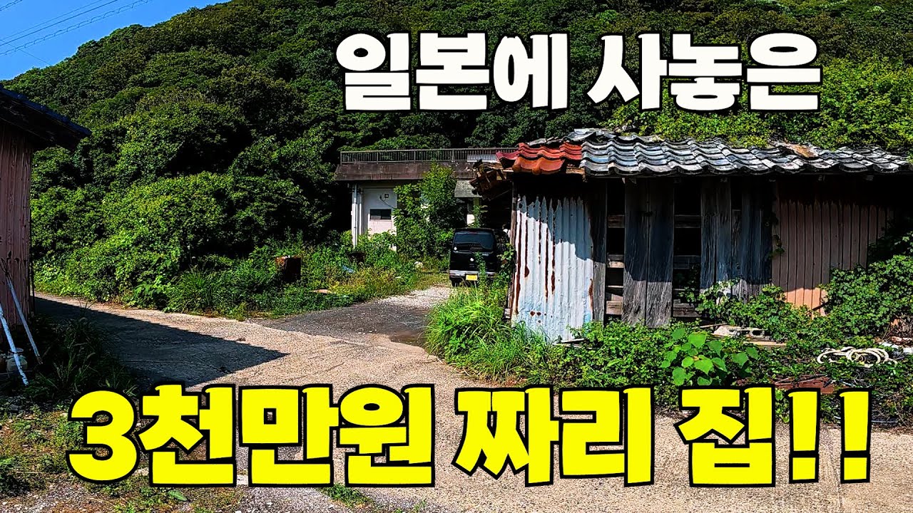 한국인이 일본에 사놓은 집에 전기가 끊기면 생기는 일!! [대마도 산다3 8화]