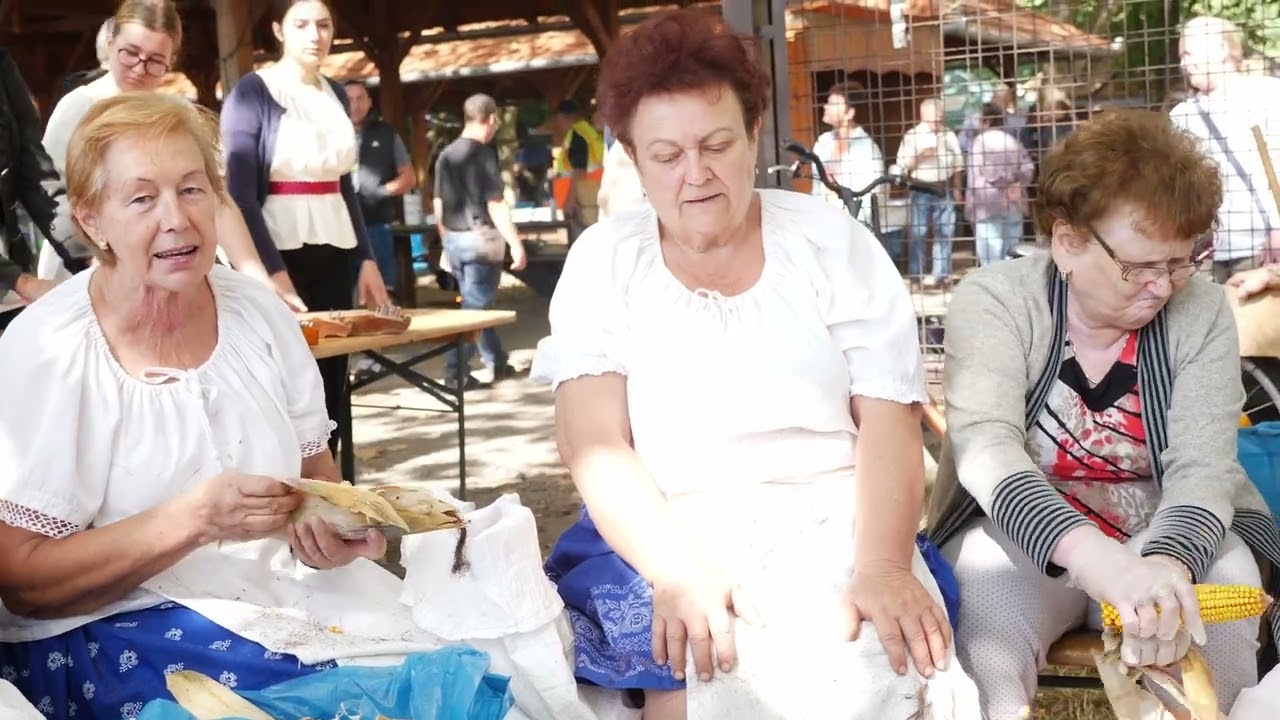 Csorvás zenei értékei