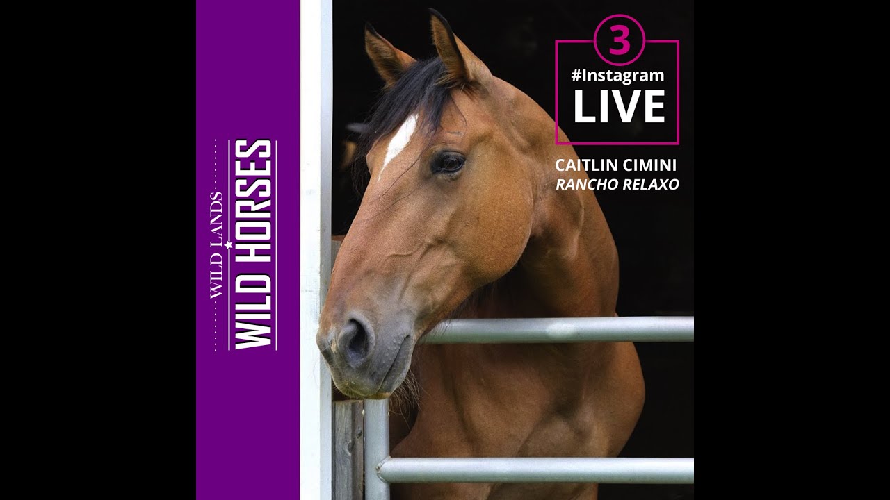 Instagram Live - Adoption Stories w/ Caitlin Cimini