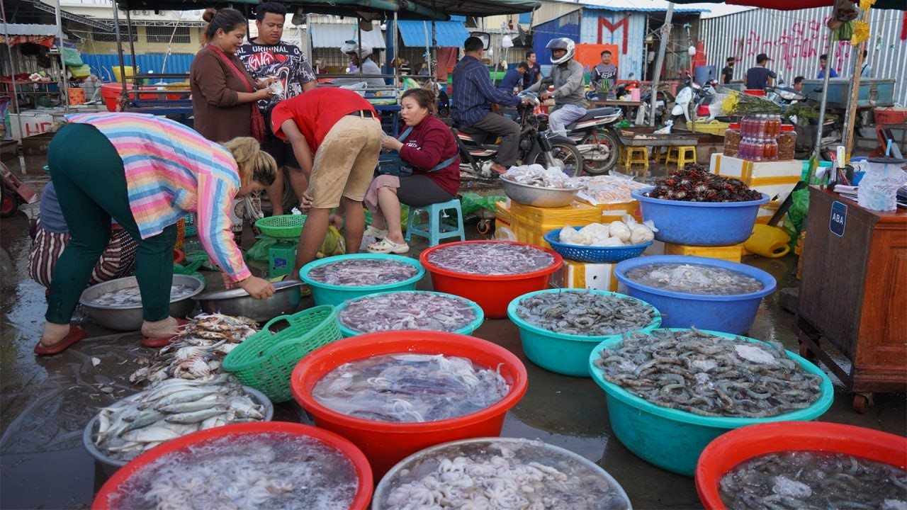 Amazing Cambodian Fish Market Day in Early Morning - Daily Activities Of Vendors Selling Fish & More