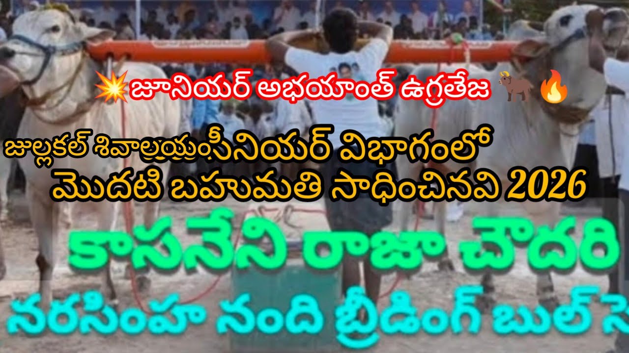 జుల్లకల్ శివాలయం సీనియర్ విభాగం2026#కాసనేని రాజా చౌదరి అన్నగారి  బుల్స్ మొదటి బహుమతిని సాధించినాయి🥇 