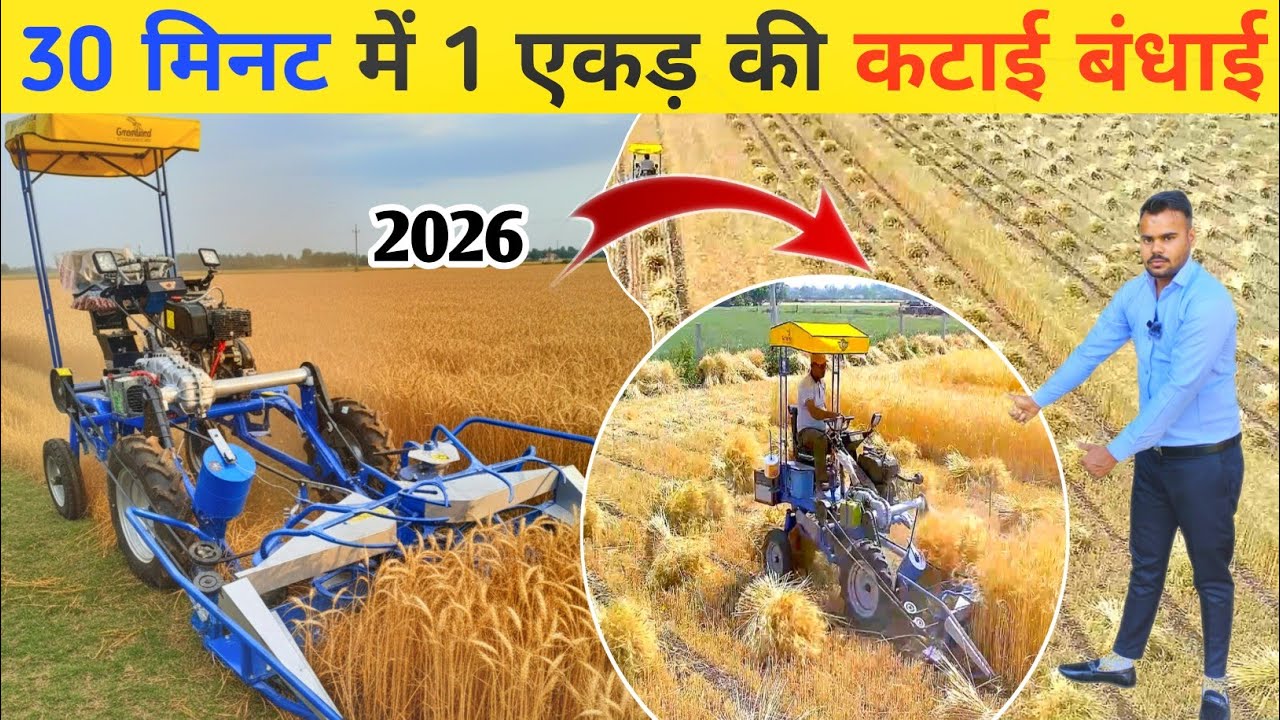 30 मिनट में 1 एकड़ की कटाई बंधाई | reaper binder machine | reaper binder price in india | Greenland