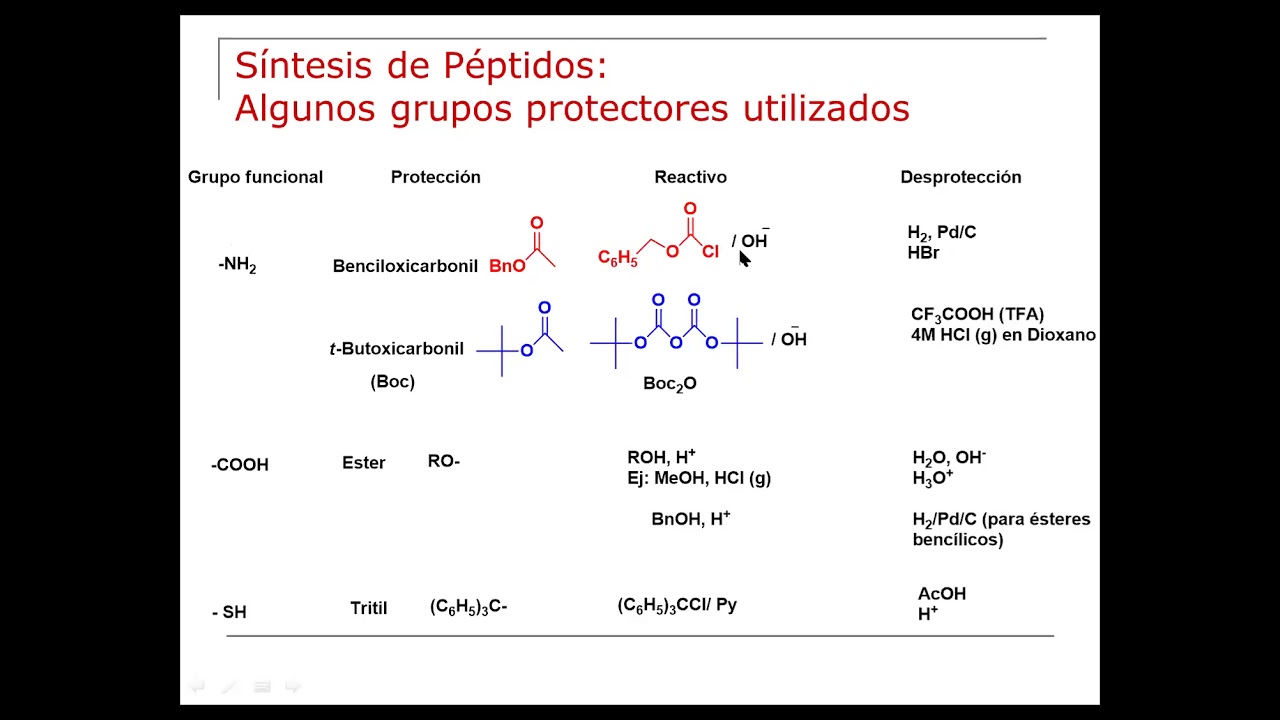 ORG102-27-Síntesis de Péptidos