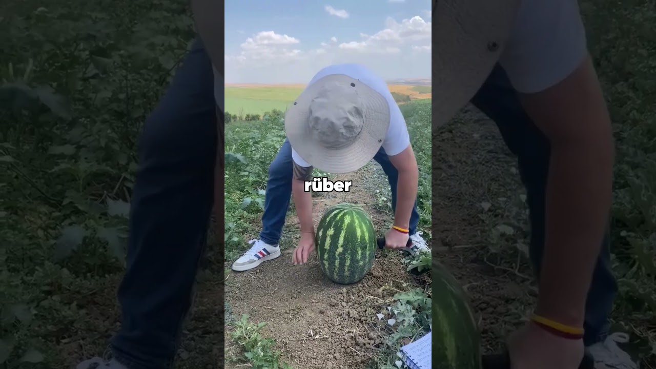 Mein Freund wollte eine offene Beziehung, also &ouml;ffnete ich sie f&uuml;r seinen Stammbaum.