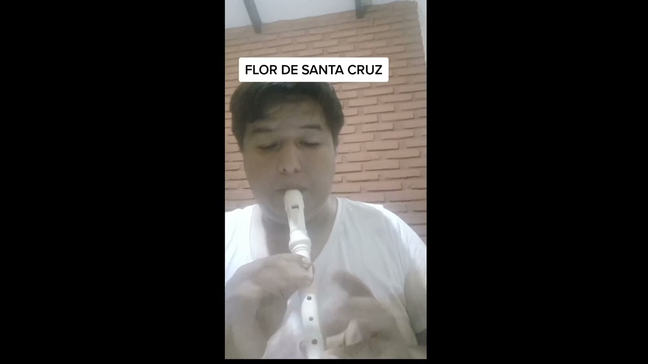 Flor de Santa Cruz en flauta dulce. Musica regional de Santa Cruz 