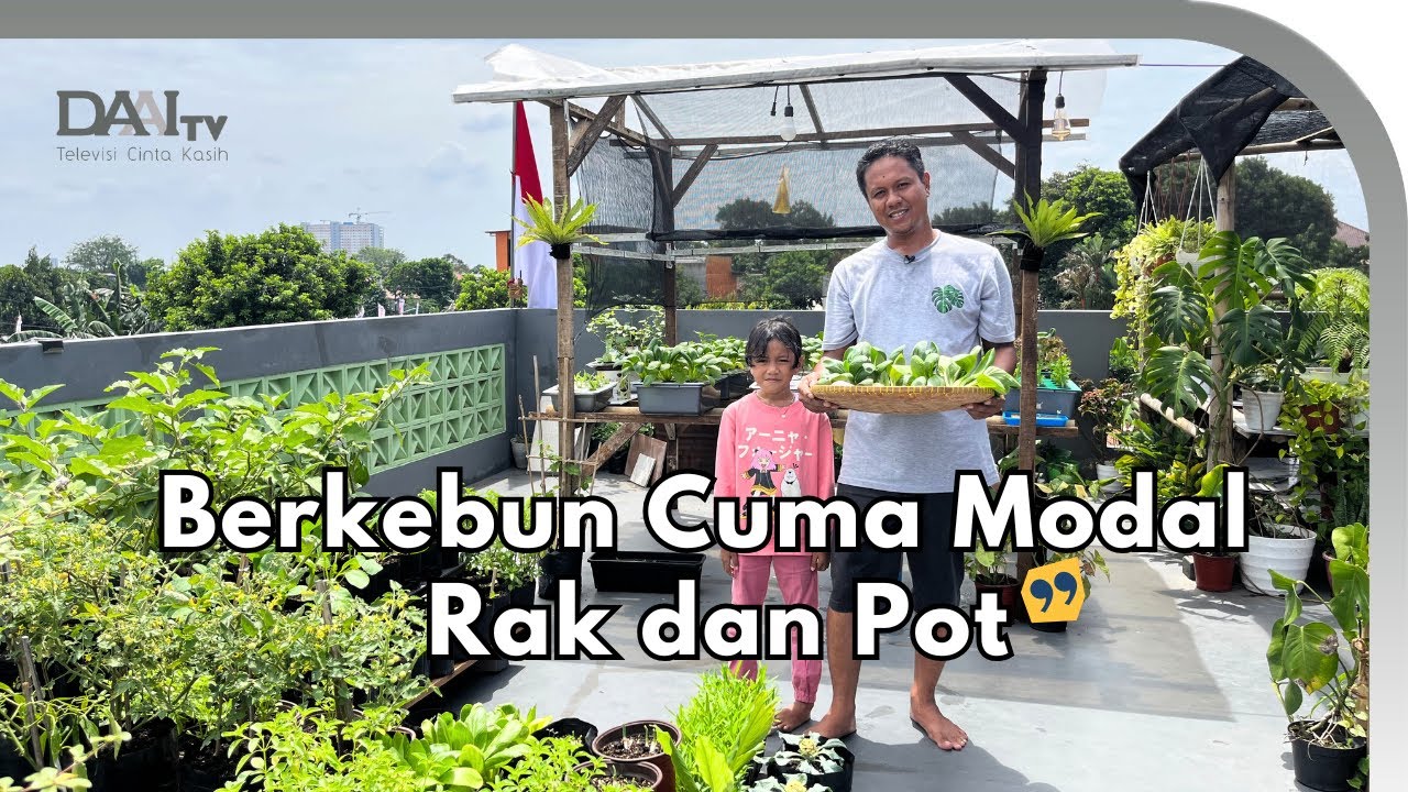 Berkebun Sederhana Cuma Pakai Pot dan Rak dari Barang Bekas