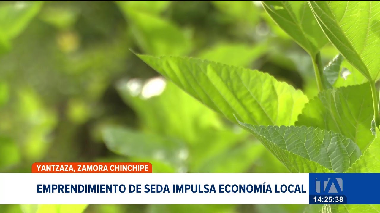 #ENVIVO | Noticiero de Quito, Emisión Central