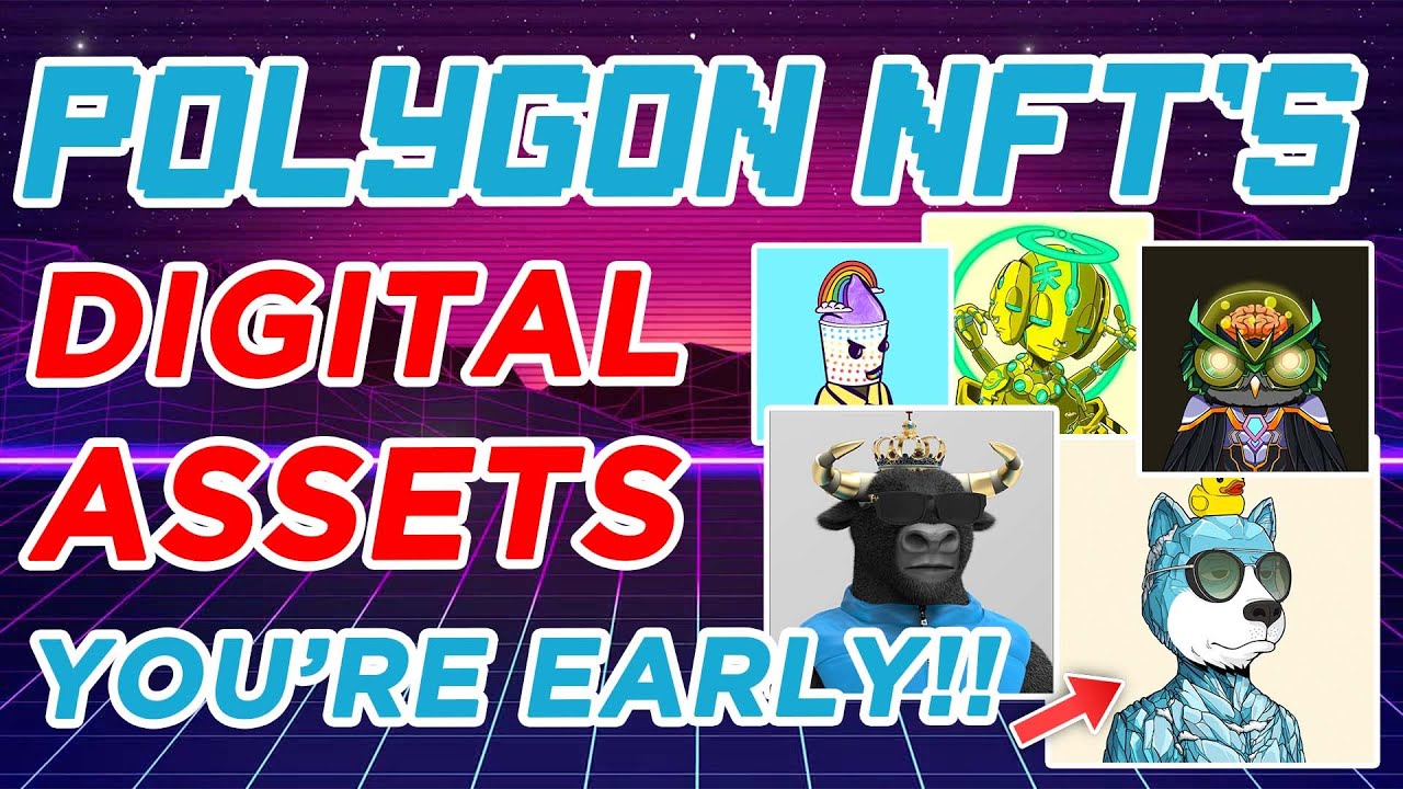 Top Polygon NFT Digital Assets Today!