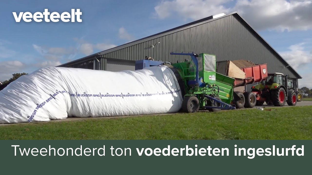 Tweehonderd ton voederbieten ingeslurfd