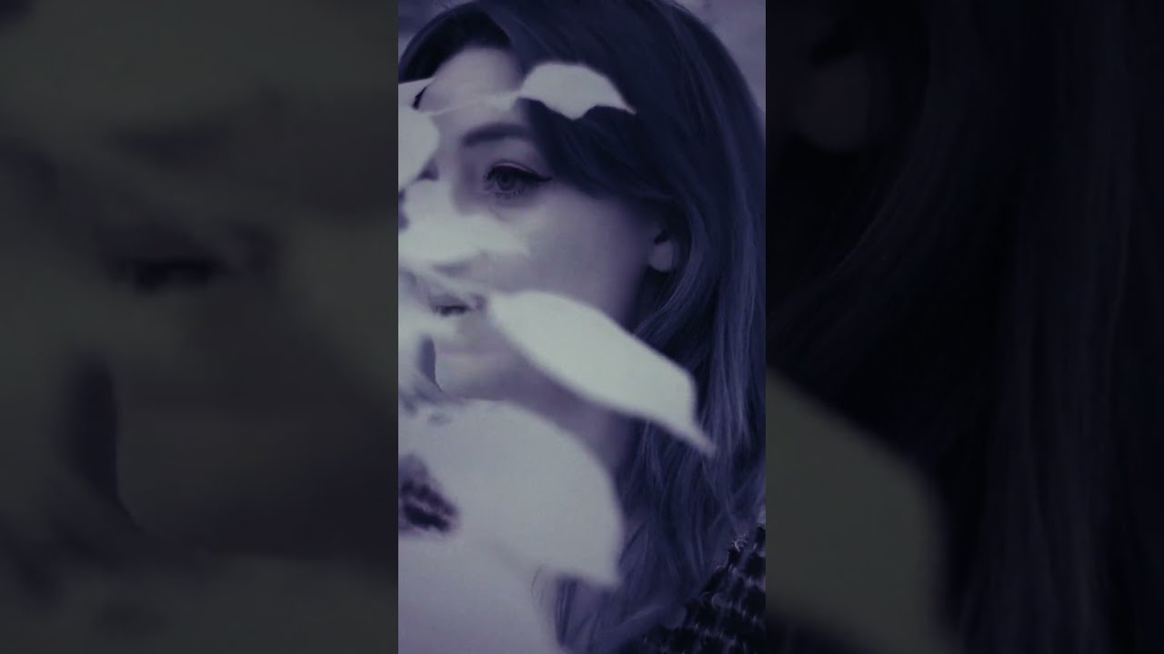 Sugarbunny - Into The Mad