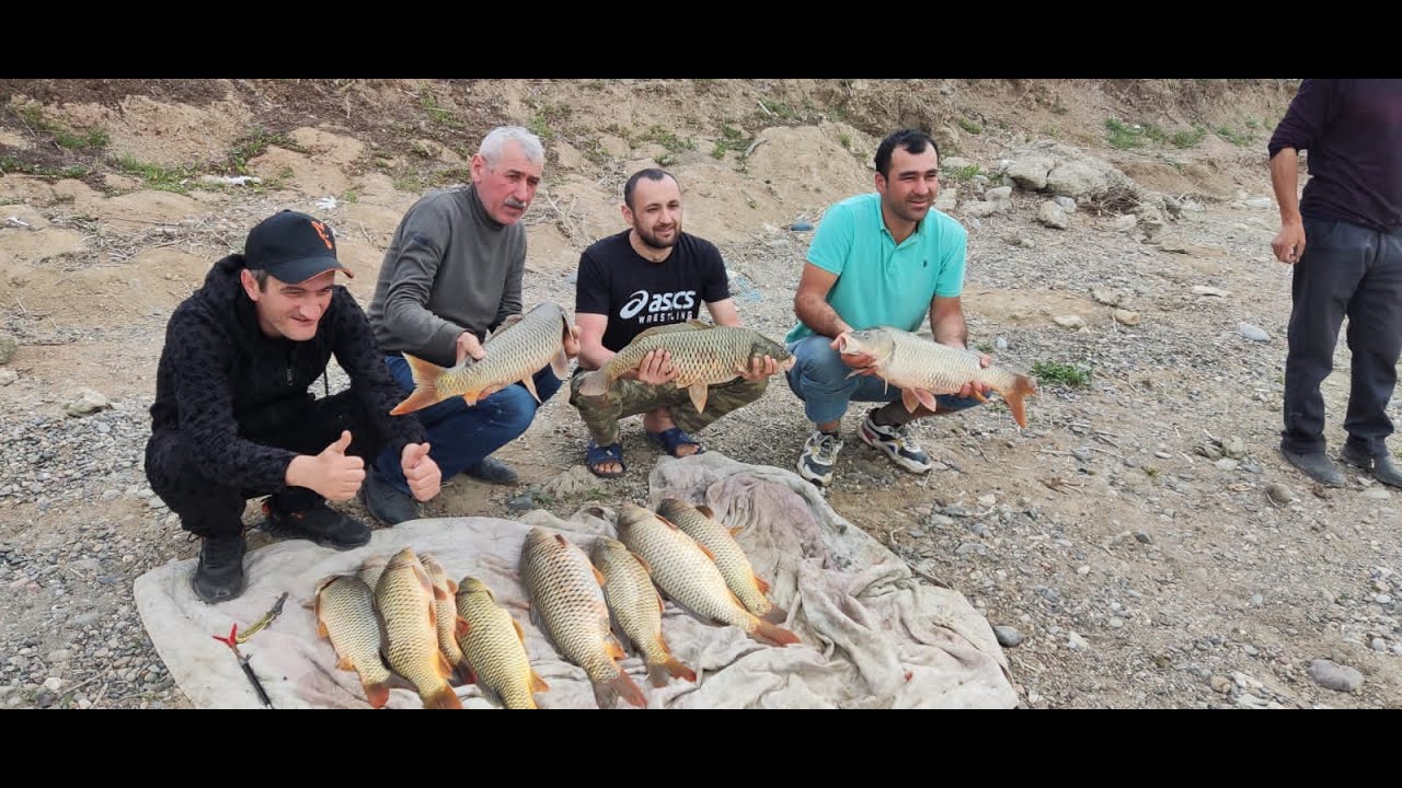 Tovuz rayon Girzan kendi sazan balıq ovu sazan ovçusu Arif Paşayevin qonaqları olduq.