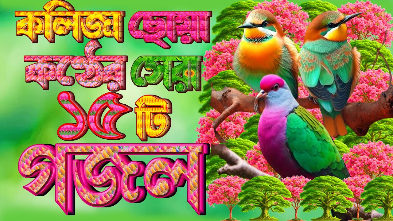মিষ্টি কন্ঠের ১৫টি গজল |খুবই দুঃখের বিরহের গজল |Very Heart Touching Gojol | Selected Gojol | Gazal