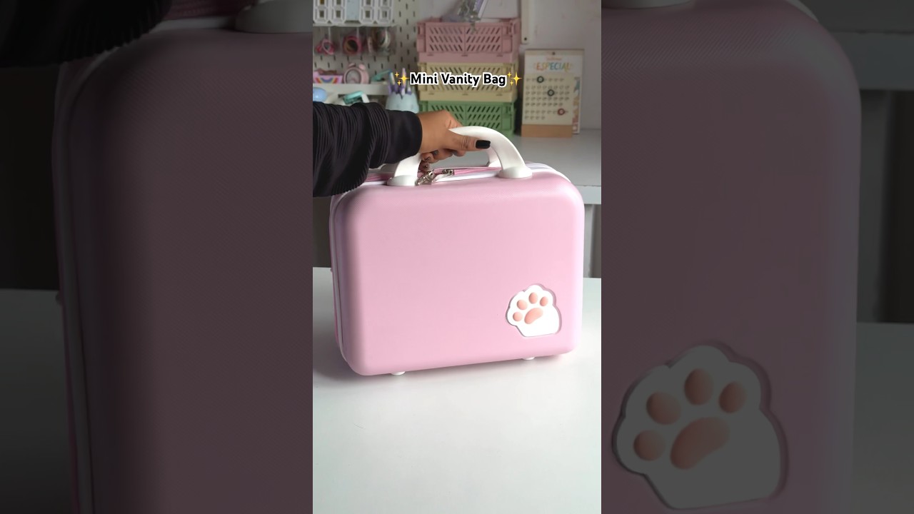 Mini Vanity Bag 🌷✨ #vanity #suitcases #travel #packing #kawaiistuff