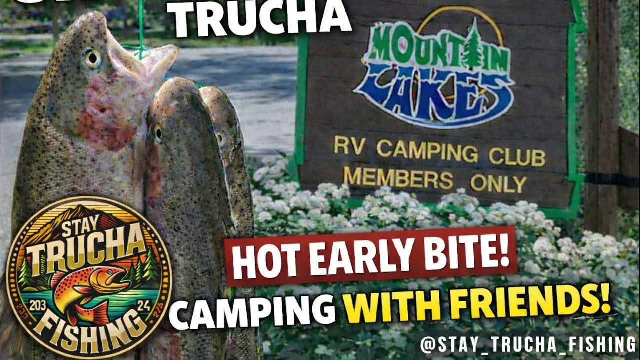 3K CALAVERAS TROUT DUMP = NONSTOP AM BITES! MTN LKS LIMIT!! | CAMP OUT 