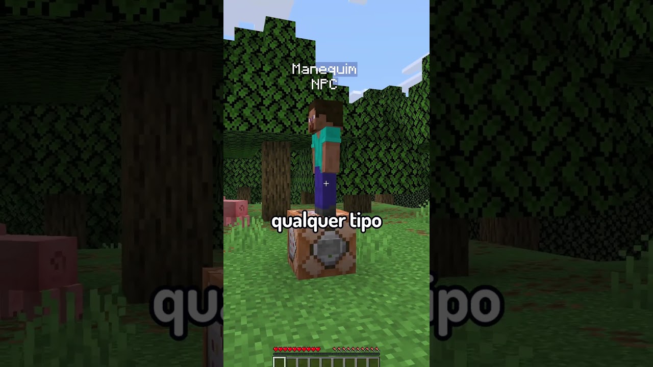 Manequim-entidade