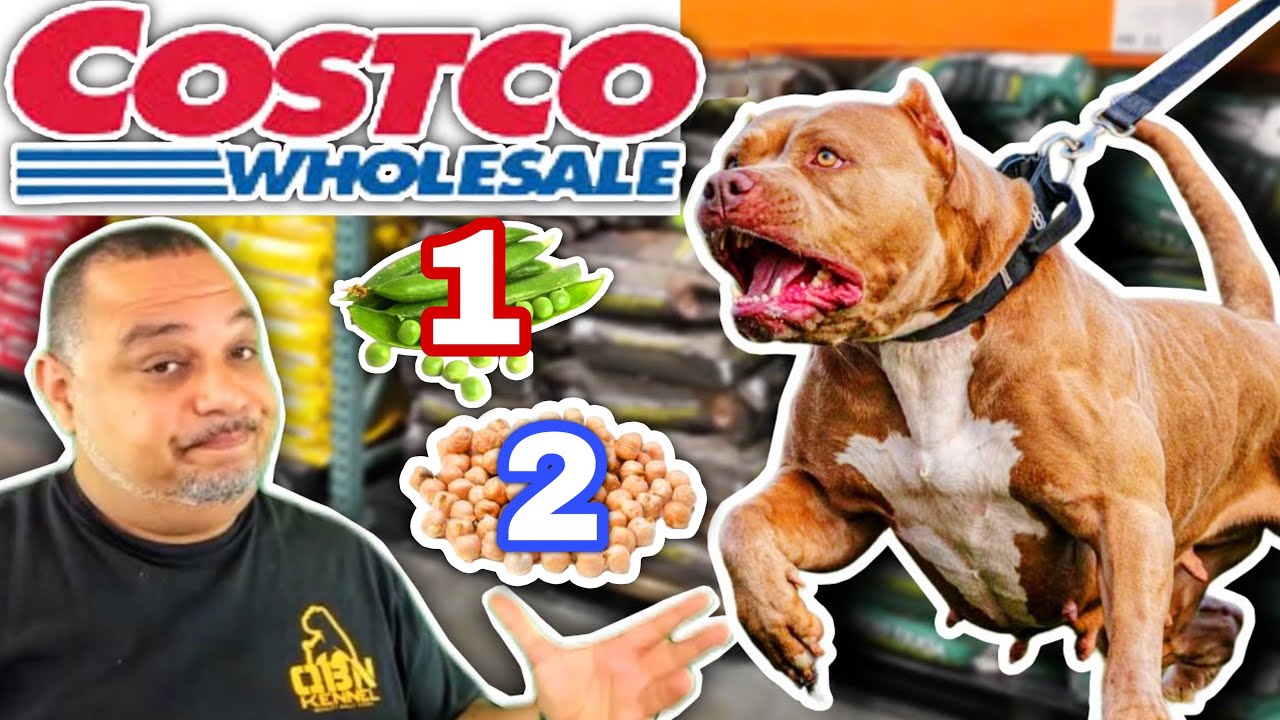 Скрытая правда о корме для собак Kirkland, о которой никто не говорит! | American Bully