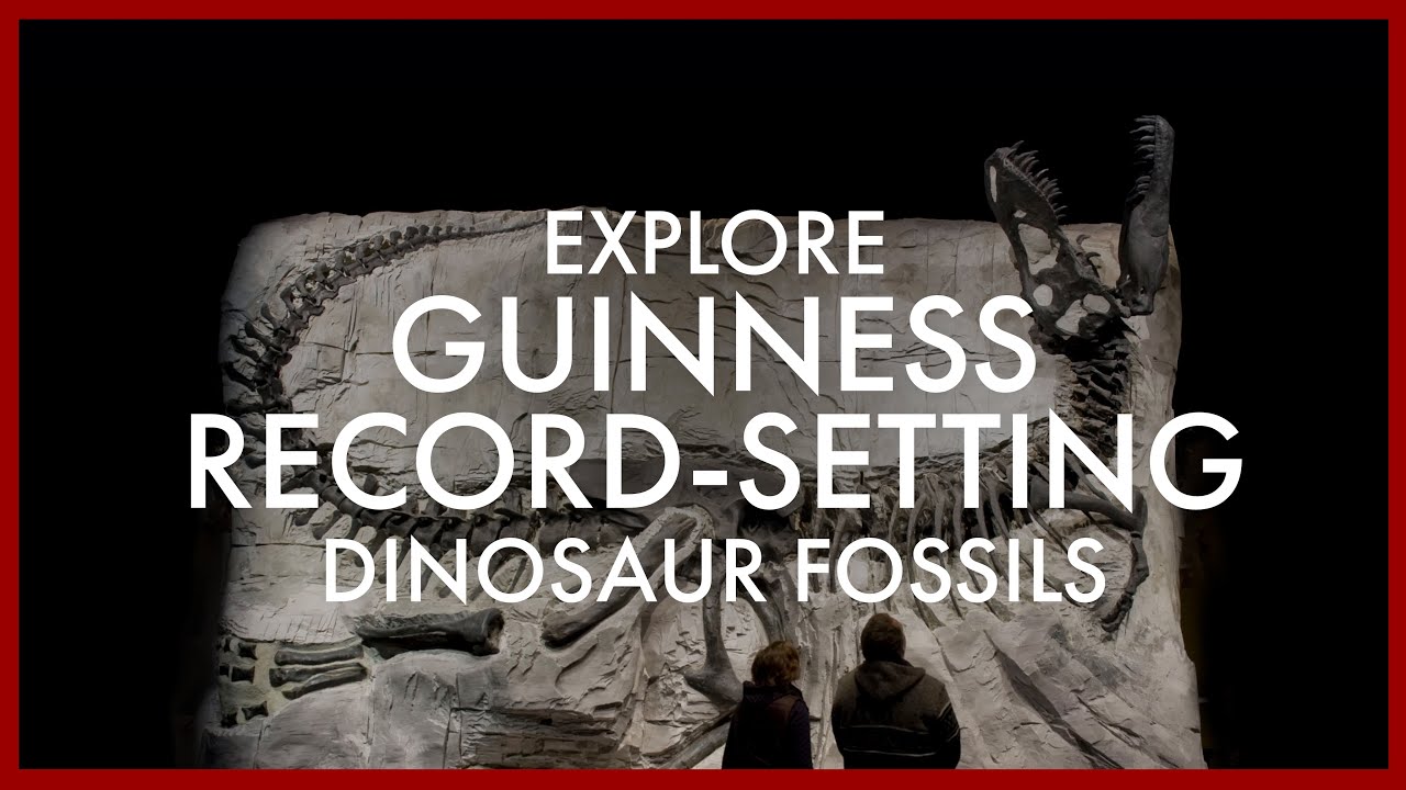 Explore Guinness Record-setting Dinosaur Fossils at Royal Tyrrell Museum in Alberta