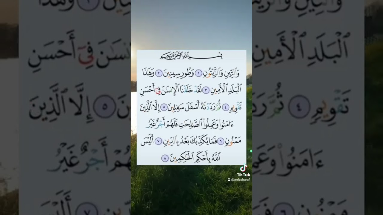 🦋quranka kariimka🦋
