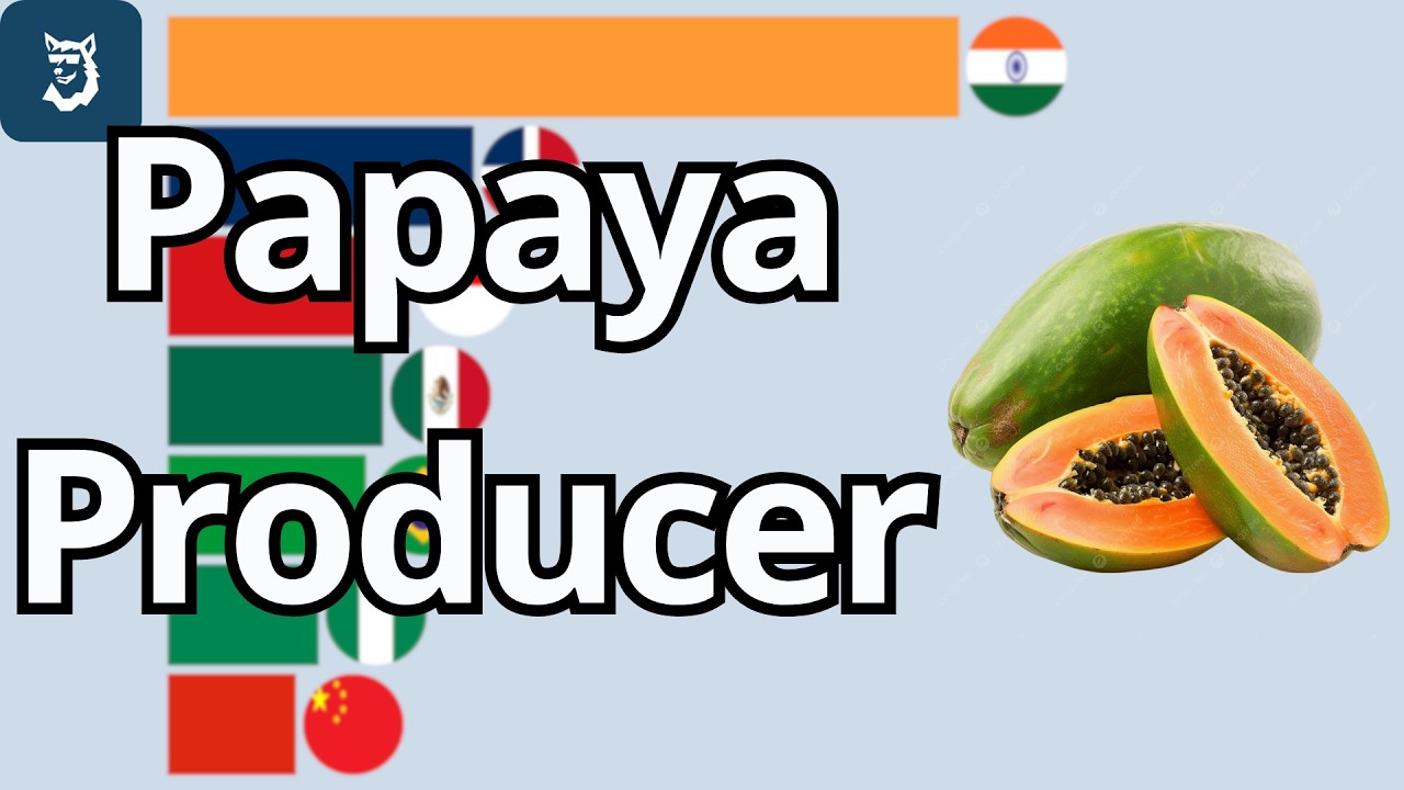 Top 15 Papaya Producing Countries 1961 - 2026