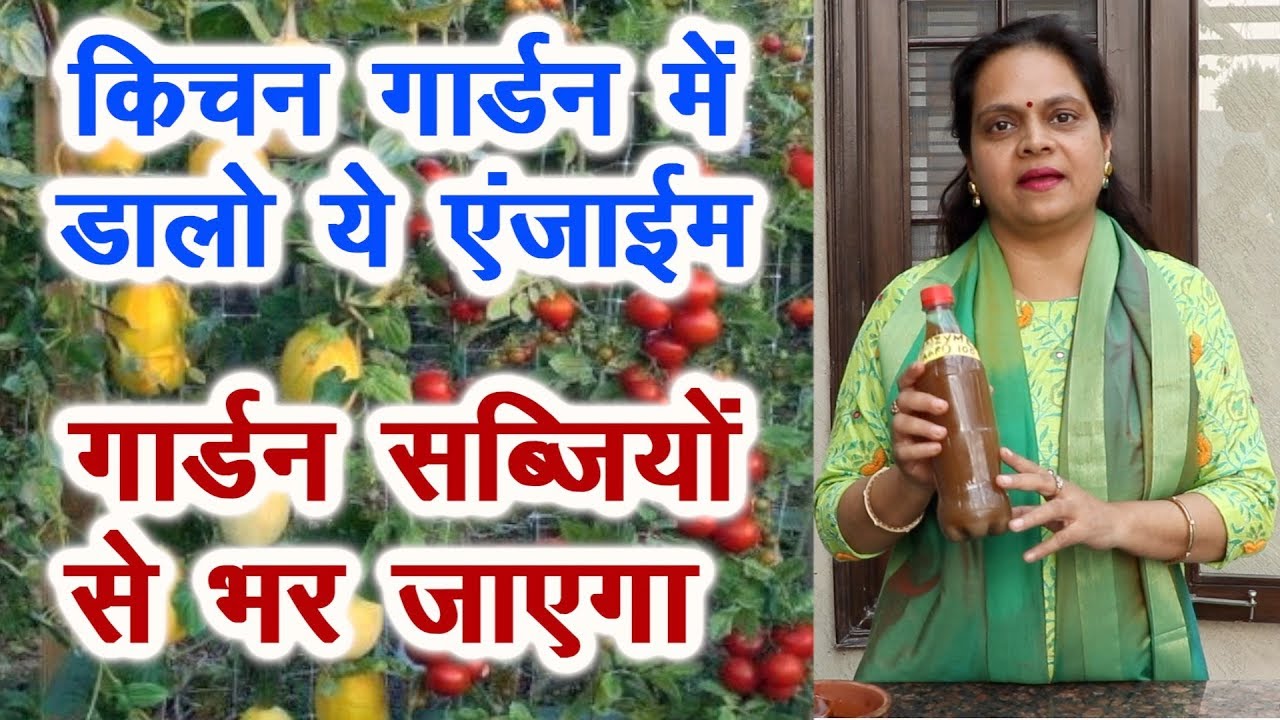 टेरेस गार्डन के लिए रामबाण है ये एन्जाईम, घर पर बनाएं Enrich enzyme manure for kitchen garden