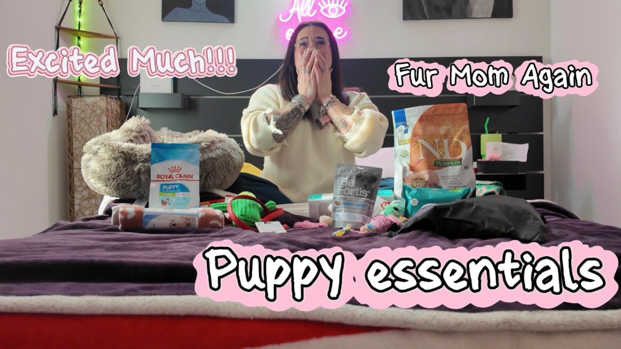 PUPPY 🐶 ESSENTIALS HAUL, GOING TO BE A FUR MOM “AGAIN” ROUND 3🐾.