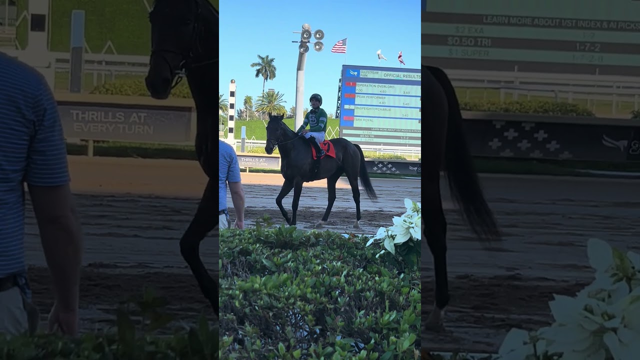 Solid effort from Peak Performer (Curlin) on January 9th at Gulfstream Park w/ Joel Rosario