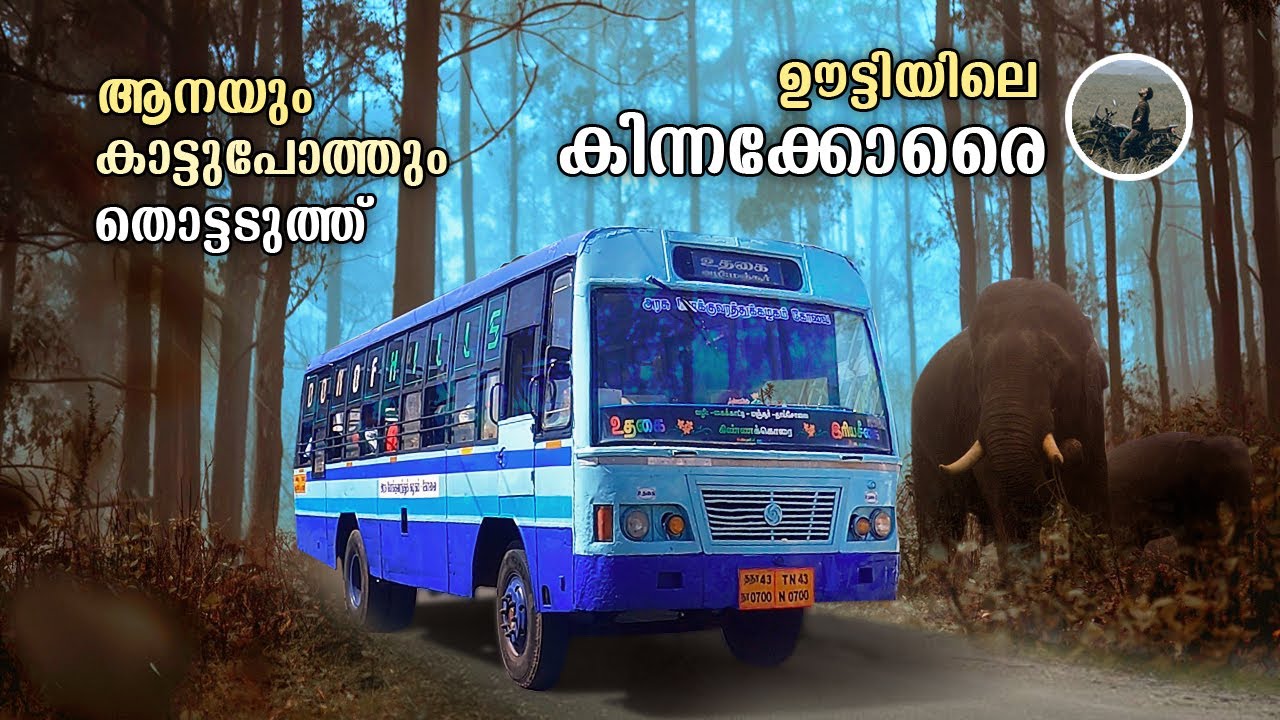 Ooty to Kinnakorai Bus Trip | ഊട്ടിയിലെ കിന്നക്കോരൈ | Tnstc Kinnakorai Trip | Hiriyaseegai | free20